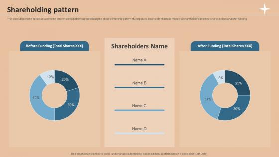 Shareholding Pattern Foreign Exchange Company Investor Funding Elevator Pitch Deck