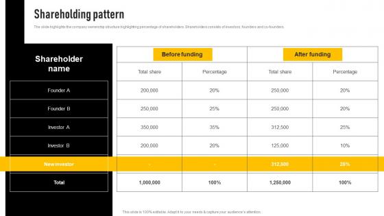 Shareholding Pattern Insurance Investor Funding Elevator Pitch Deck Pictures Pdf