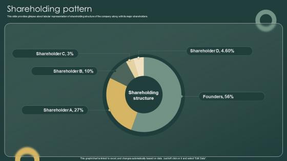 Shareholding Pattern Investor Funding Elevator Pitch Deck For Ticketing Management Firm