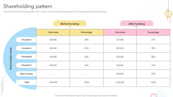 Shareholding Pattern Maternity Support Platform Pitch Deck
