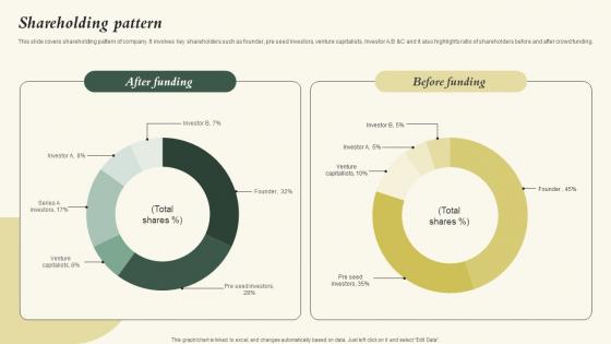 Shareholding Pattern Nubity Capital Funding Pitch Deck Structure Pdf