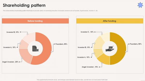 Shareholding Pattern Term Life Insurance Platform Investor Funding Elevator Pitch Deck