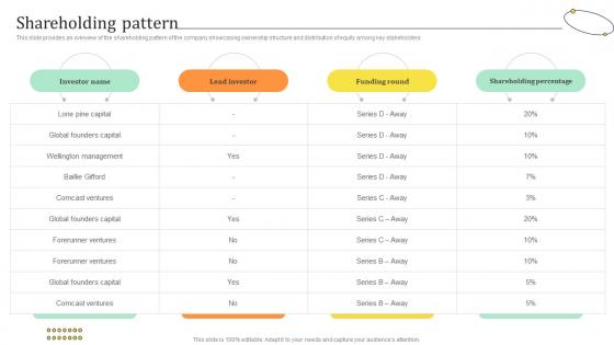 Shareholding Pattern Travel Bag Funding Pitch Deck Shareholding Pattern Travel Bag Funding Pitch Deck