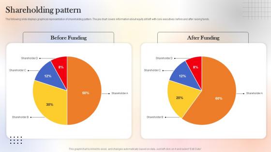 Shareholding Pattern Web Designing Platform Fundraising Pitch Deck Elements Pdf