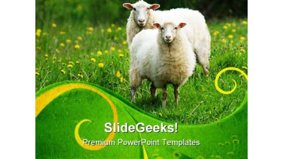 Sheep In Field Animals PowerPoint Templates And PowerPoint Backgrounds 0611