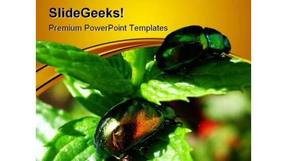Shiny Beetles On Mint Leaves Nature PowerPoint Templates And PowerPoint Backgrounds 0611