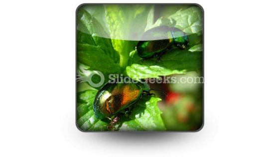Shiny Beetles PowerPoint Icon S