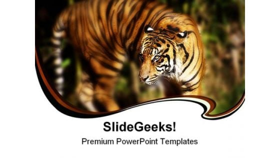 Siberian Tiger Animals PowerPoint Templates And PowerPoint Backgrounds 0211