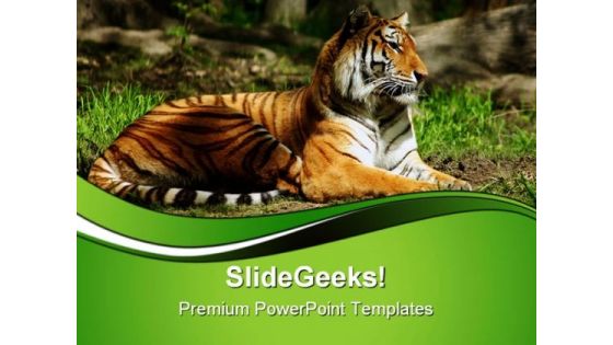 Siberian Tiger Animals PowerPoint Templates And PowerPoint Backgrounds 0611