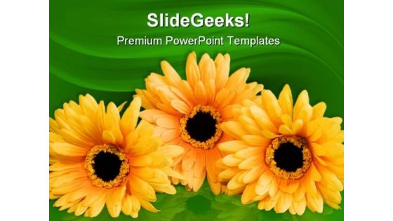 Silk Flowers Beauty PowerPoint Templates And PowerPoint Backgrounds 0211