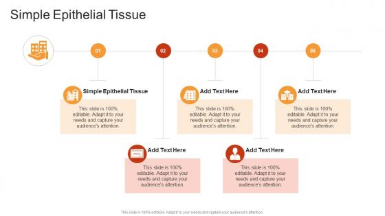 Simple Epithelial Tissue In Powerpoint And Google Slides Cpb