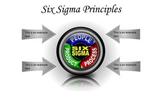 Six Sigma Principles Business PowerPoint Presentation Slides Cc