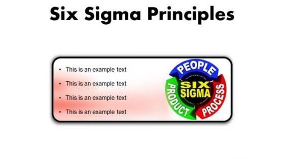 Six Sigma Principles Business PowerPoint Presentation Slides R