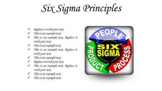 Six Sigma Principles Business PowerPoint Presentation Slides S