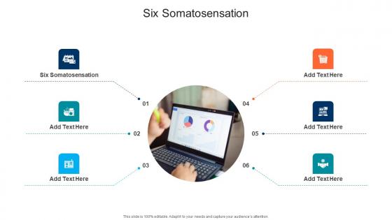 Six Somatosensation In Powerpoint And Google Slides Cpb