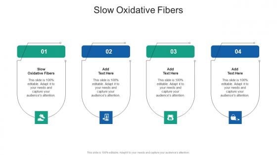 Slow Oxidative Fibers In Powerpoint And Google Slides Cpb