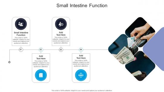 Small Intestine Function In Powerpoint And Google Slides Cpb