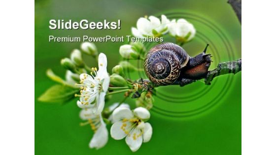 Snail Nature PowerPoint Templates And PowerPoint Backgrounds 0111