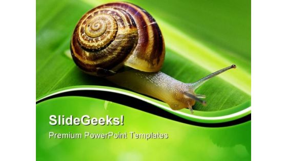 Snail On Leaf Animals PowerPoint Templates And PowerPoint Backgrounds 0611