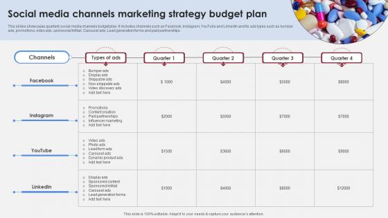 Social Media Channels Marketing Strategy Accelerating Market Share And Profitability MKT SS V Social Media Channels Marketing Strategy Accelerating Market Share And Profitability MKT SS V