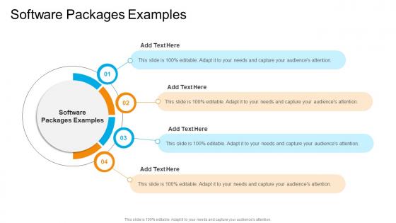 Software Packages Examples In Powerpoint And Google Slides Cpb