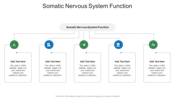 Somatic Nervous System Function In Powerpoint And Google Slides Cpb