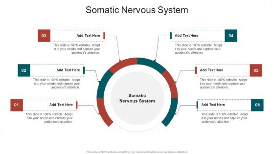 Somatic Nervous System In Powerpoint And Google Slides Cpb Somatic Nervous System In Powerpoint And Google Slides Cpb