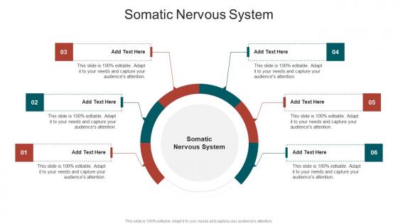 Somatic Nervous System In Powerpoint And Google Slides Cpb