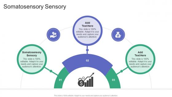 Somatosensory Sensory In Powerpoint And Google Slides Cpb