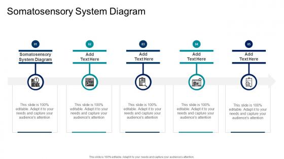 Somatosensory System Diagram In Powerpoint And Google Slides Cpb Somatosensory System Diagram In Powerpoint And Google Slides Cpb
