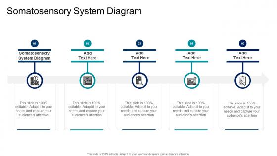 Somatosensory System Diagram In Powerpoint And Google Slides Cpb