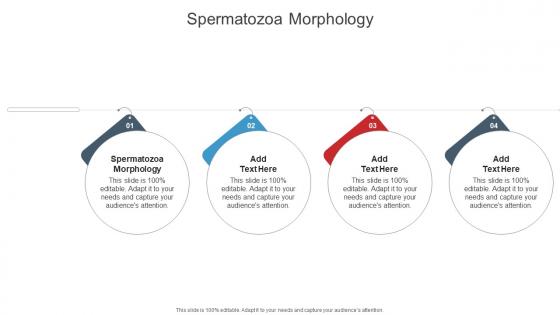 Spermatozoa Morphology In Powerpoint And Google Slides Cpb