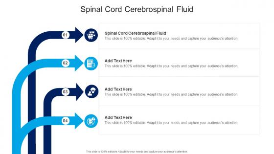 Spinal Cord Cerebrospinal Fluid In Powerpoint And Google Slides Cpb