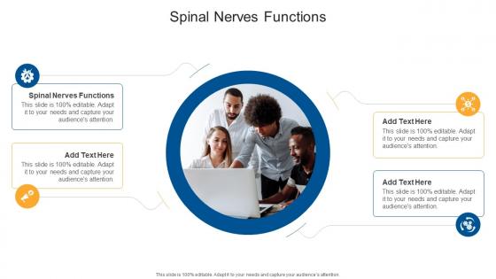 Spinal Nerves Functions In Powerpoint And Google Slides Cpb