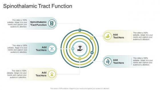 Spinothalamic Tract Function In Powerpoint And Google Slides Cpb