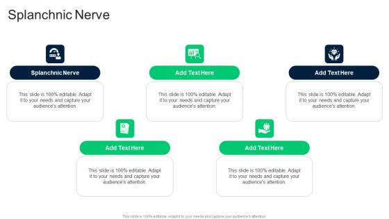 Splanchnic Nerve In Powerpoint And Google Slides Cpb