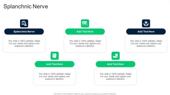 Splanchnic Nerve In Powerpoint And Google Slides Cpb