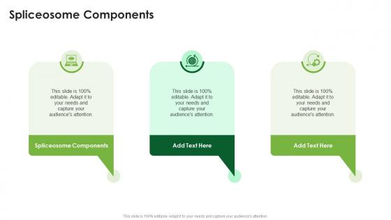 Spliceosome Components In Powerpoint And Google Slides Cpb