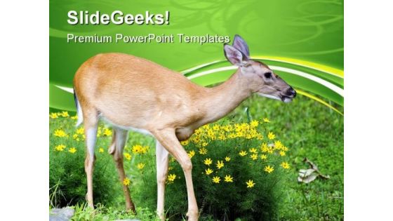 Spring Deer Animals PowerPoint Templates And PowerPoint Backgrounds 0611