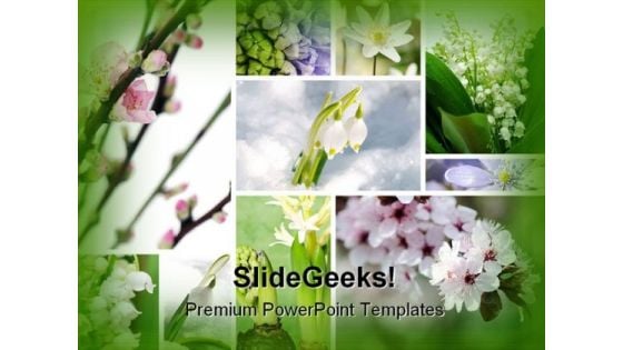 Spring Flowers Beauty PowerPoint Template 0810