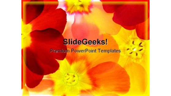 Spring Primula Beauty PowerPoint Templates And PowerPoint Backgrounds 0311