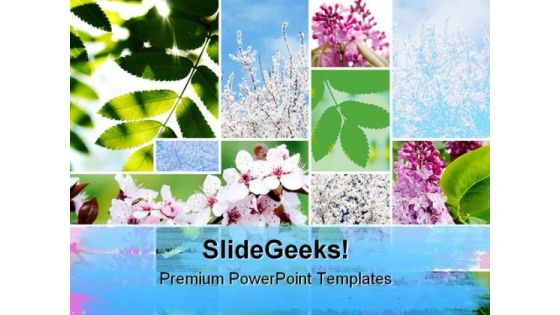 Springtime Flowers Nature PowerPoint Themes And PowerPoint Slides 0811