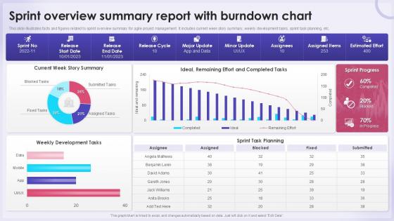Sprint Overview Summary Report With Burndown Chart