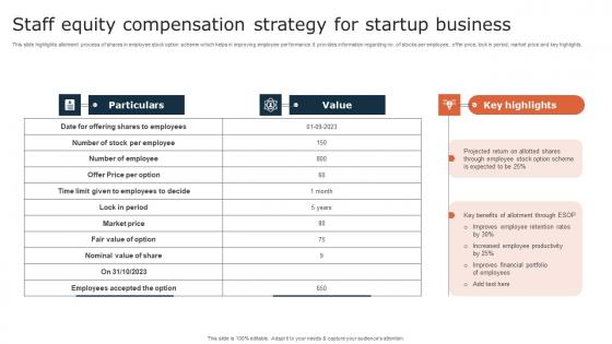 Staff Equity Compensation Strategy For Startup Business Background Pdf