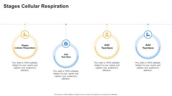 Stages Cellular Respiration In Powerpoint And Google Slides Cpb