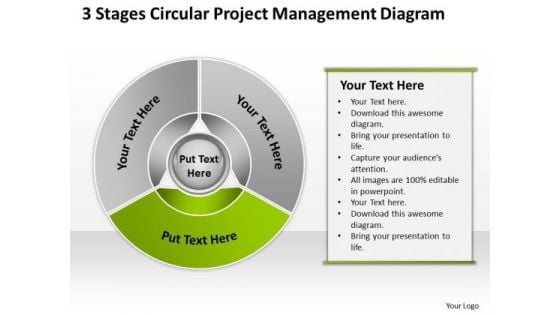 Stages Circular Project Management Diagram Business Plan Example PowerPoint Templates