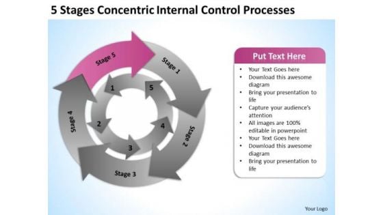 Stages Concentric Internal Control Processes Ppt Business Plan Download PowerPoint Templates