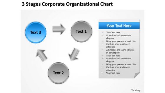 Stages Corporate Organizational Chart Ppt How To Write Business Plan For PowerPoint Slides