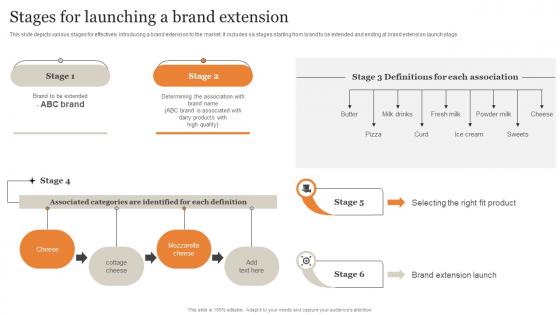 Stages For Launching A Brand Extension Ultimate Guide Implementing Download Pdf Stages For Launching A Brand Extension Ultimate Guide Implementing Download Pdf