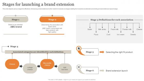 Stages For Launching A Brand Extension Ultimate Guide Implementing Download Pdf